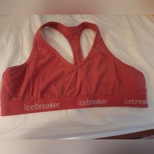 Brand New W/out Tags Icebreaker Womens Merino Wool Coral Sports Bra Sz XL